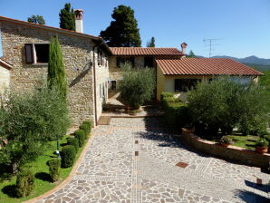 Vakantiehuis Sfeervol appartement in oude boerderij met zwembad in een prachtige omgeving - Barberino van Mugello - image1