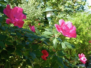 Vakantiehuis Barberino di Mugello  30