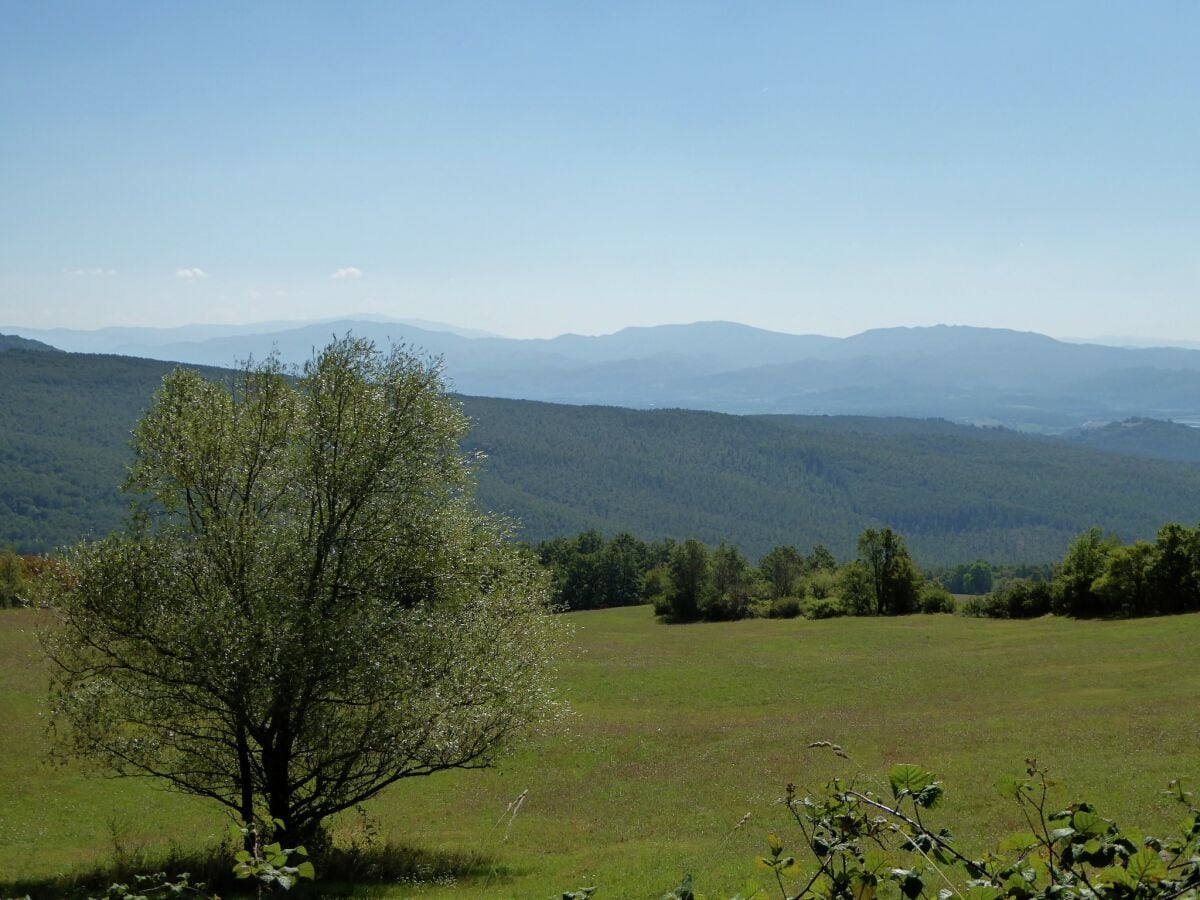 Ferienhaus Barberino di Mugello Umgebung 27