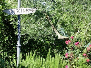 Maison de vacances Barberino di Mugello  31