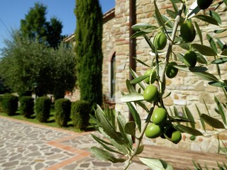 Holiday house Barberino di Mugello  26