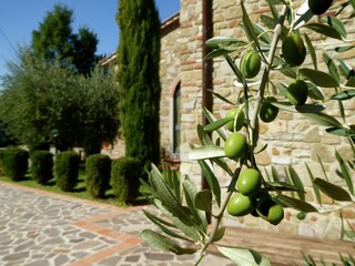 Casa de vacaciones Barberino di Mugello  26