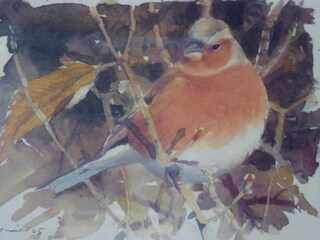 Ferienhaus Barberino di Mugello  24