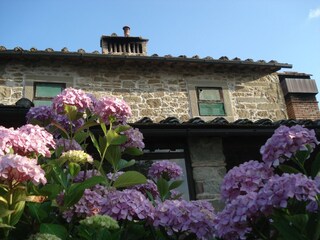 Maison de vacances Borgo San Lorenzo  26