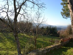 Maison de vacances rurale à Borgo San Lorenzo. Jardin privé - Borgo San Lorenzo - image1