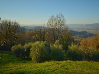 Ferienhaus Borgo San Lorenzo Außenaufnahme 15