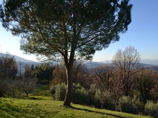 Holiday house Borgo San Lorenzo Outdoor Recording 14