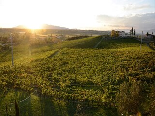 Vakantiehuis Cerreto Guidi Buitenaudio-opname 22