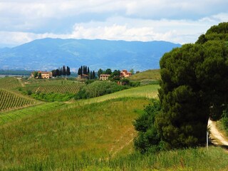 Holiday house Cerreto Guidi Outdoor Recording 13