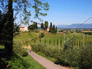 Holiday house Cerreto Guidi Environment 36