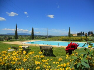Holiday house Cerreto Guidi Outdoor Recording 5
