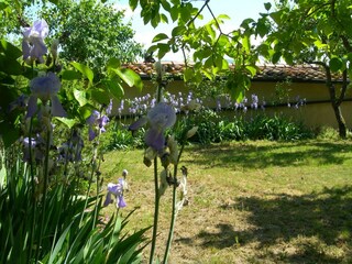Casa de vacaciones Radicondoli Grabación al aire libre 5