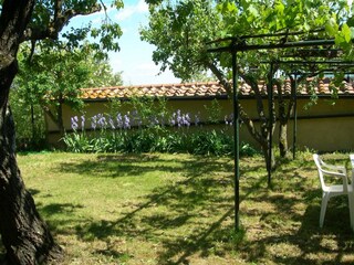 Maison de vacances Radicondoli Enregistrement extérieur 3