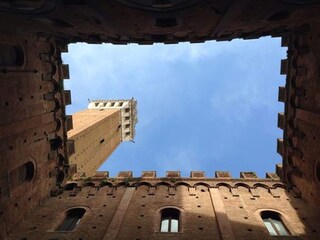 Casa de vacaciones Radicondoli Entorno 31