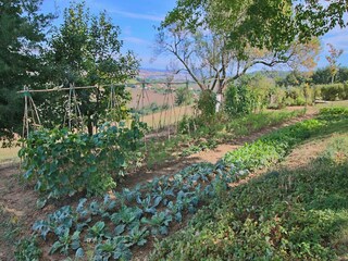 Cottage Vallefoglia  35