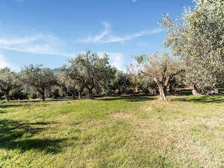 Cottage Rosello Außenaufnahme 13