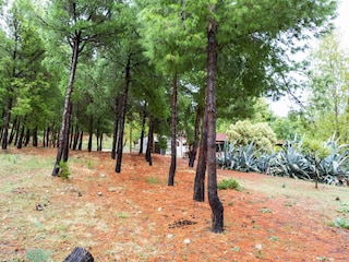 Holiday house Cropani Marina Outdoor Recording 12