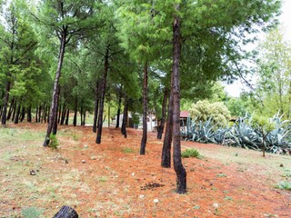 Casa per le vacanze Cropani Marina Registrazione all'aperto 8