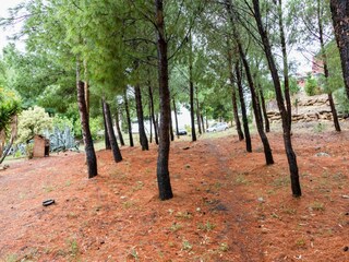 Casa per le vacanze Cropani Marina Registrazione all'aperto 11