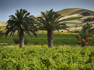 Holiday house Buseto Palizzolo Environment 21