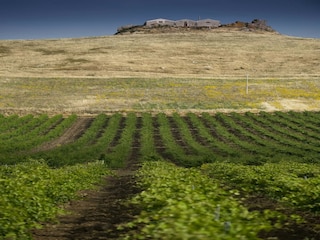Ferienhaus Buseto Palizzolo Umgebung 20