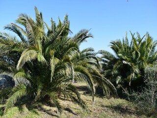 Villa Floridia Grabación al aire libre 10