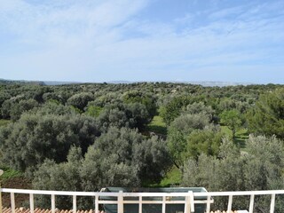 Villa Floridia Registrazione all'aperto 2