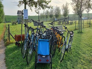 Vakantiehuis Colijnsplaat Omgeving 28