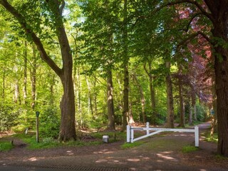 Vakantiehuis Hulshorst Omgeving 29