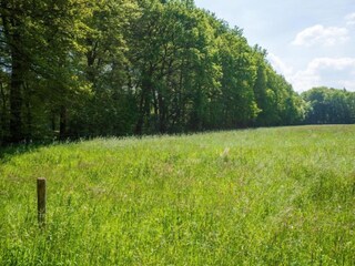Vakantiehuis Hulshorst Omgeving 24