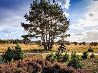 Vakantiehuis Hulshorst Omgeving 26