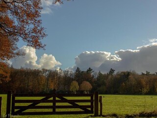 Casa per le vacanze Hulshorst Ambiente 32