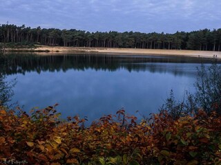 Vakantiehuis Hulshorst Omgeving 33