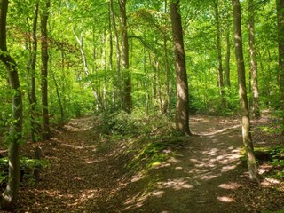 Casa per le vacanze Hulshorst Ambiente 28