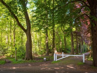 Vakantiehuis Hulshorst Omgeving 32