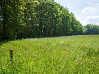 Vakantiehuis Hulshorst Omgeving 36