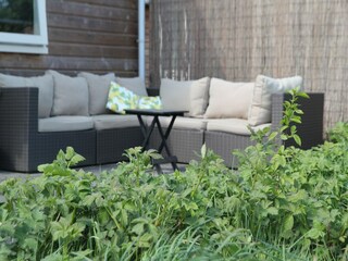 Bungalow Schoorldam Enregistrement extérieur 7