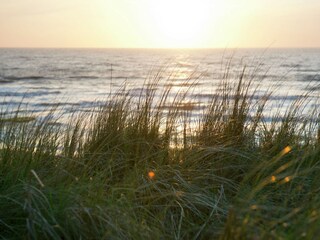 Bungaló Schoorldam Entorno 31