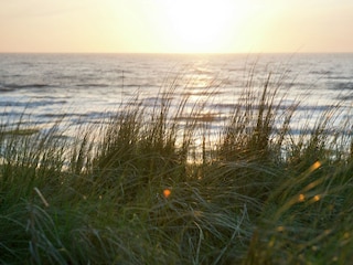 Bungalow Schoorldam Environnement 31