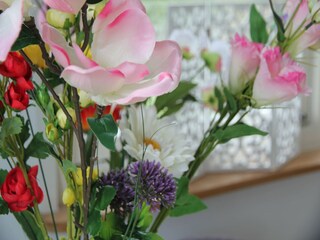 Bungalow Schoorldam  39