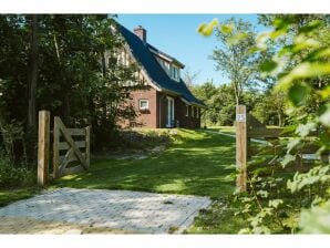 Maison de vacances Luxueuse villa de vacances pour 6 personnes avec un jardin forestier de 4000 m2 - Ouddorp - image1