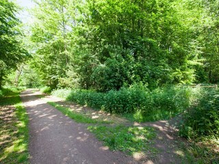 Maison de vacances Winterswijk Environnement 30