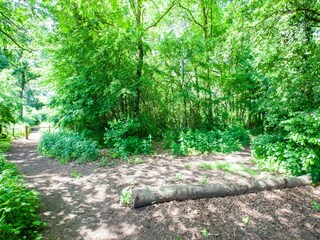 Holiday house Winterswijk Environment 33