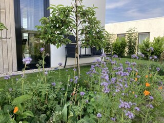 Villa Biddinghuizen Grabación al aire libre 8