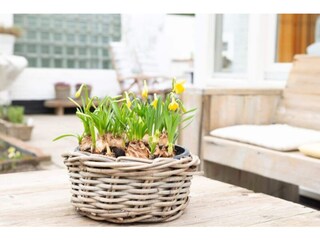 Casa de vacaciones Renesse  38