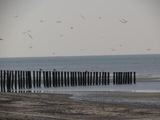 Holiday house Renesse Environment 28