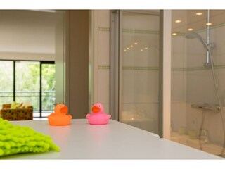 Vakantiehuis Arnemuiden Kenmerken 21