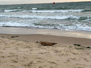 Appartement Koudekerke Omgeving 16