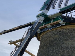 Maison de vacances Zoutelande  40