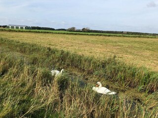 Casa per le vacanze Julianadorp Ambiente 27